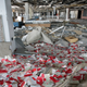 Illustration for article titled Athens' Abandoned International Airport Is Incredibly Creepy